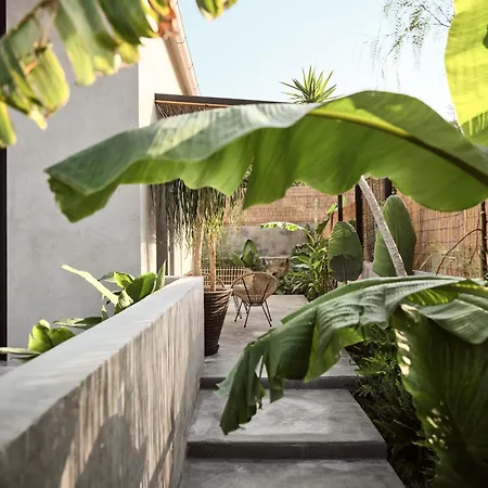 Theros Exotica Loft Contemporary 2br W Pool In Tsilivi Hills וילה
