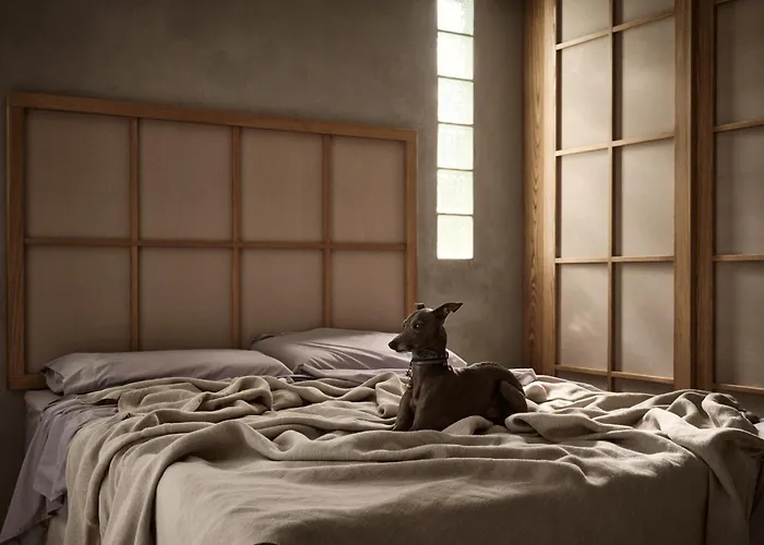 Theros Exotica Loft Contemporary 2br W Pool In Tsilivi Hills ヴィラ